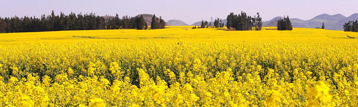 Yunnan Travel Photos